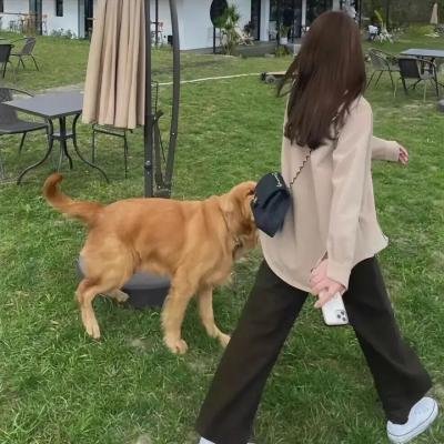 战争回响